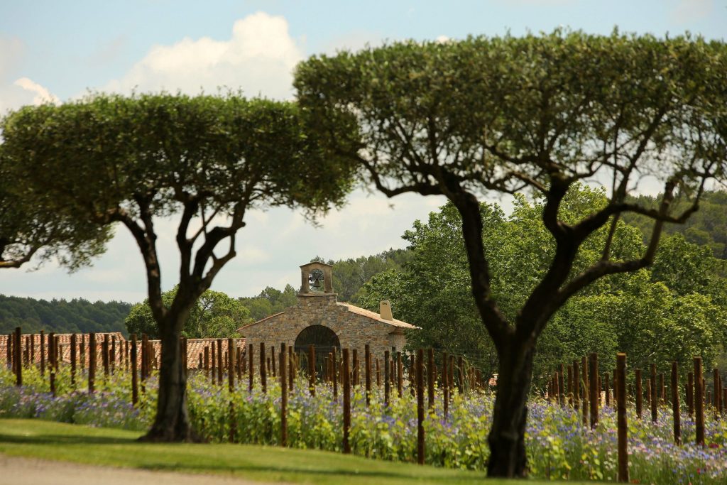 Dormir dans un vignoble